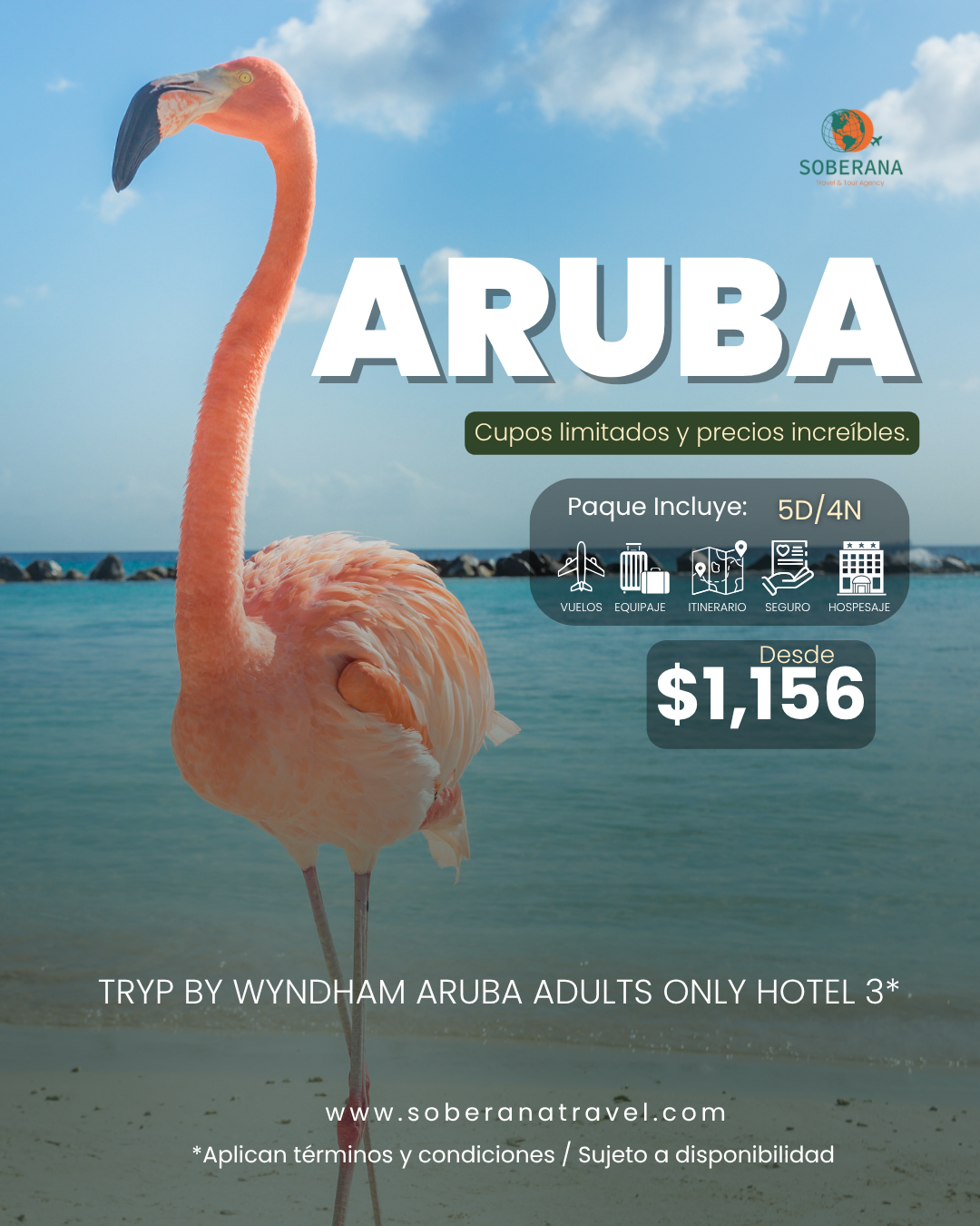ARUBA-PROMO-1